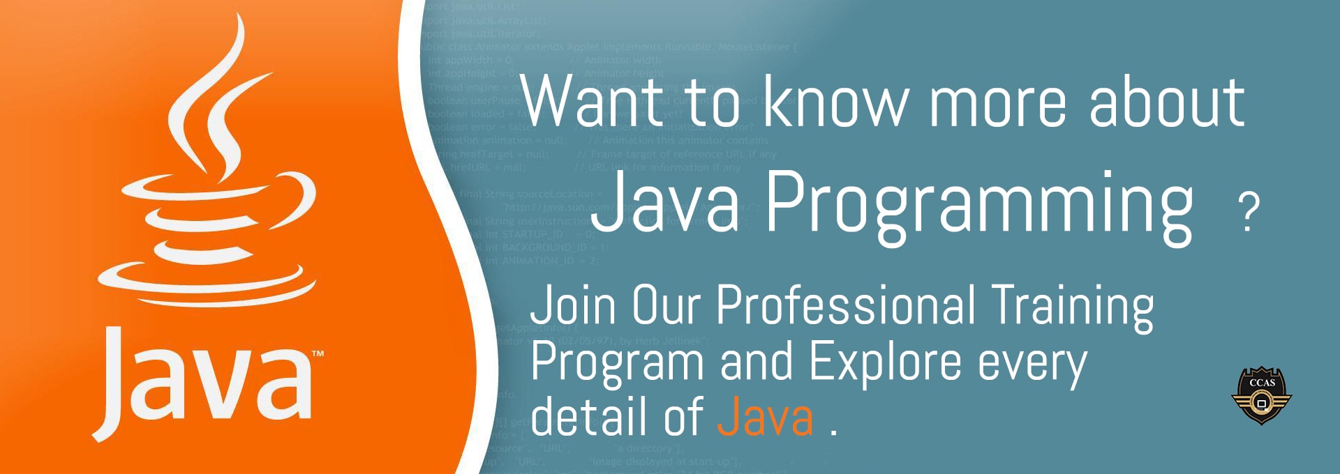 CCAS | Java Training Institute in Jaipur & Delhi | Java Courses in Jaipur &  Delhi